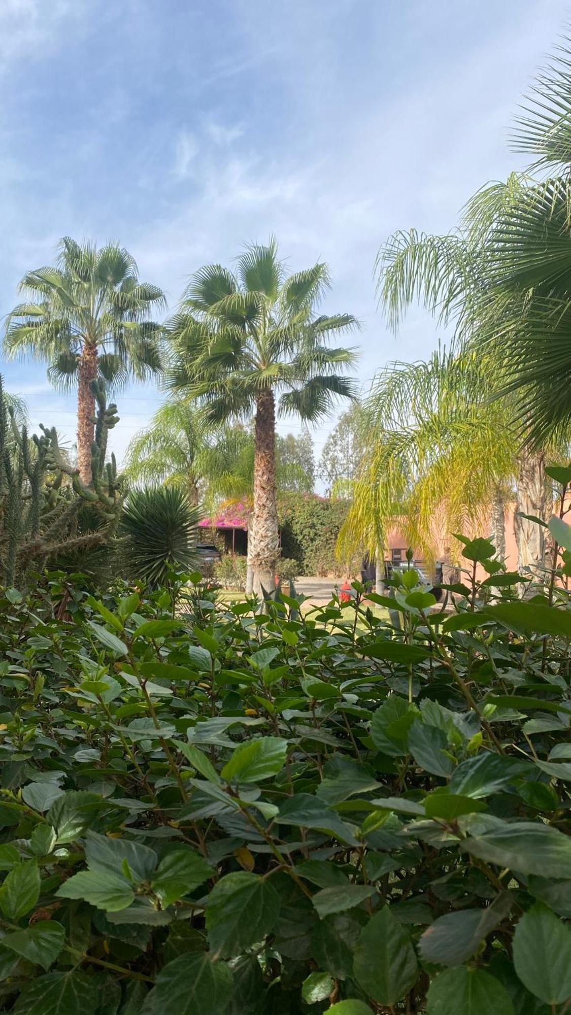 Le Rubis Oriental Marrakech Hotel Azib Oulad Lâdem Exterior foto